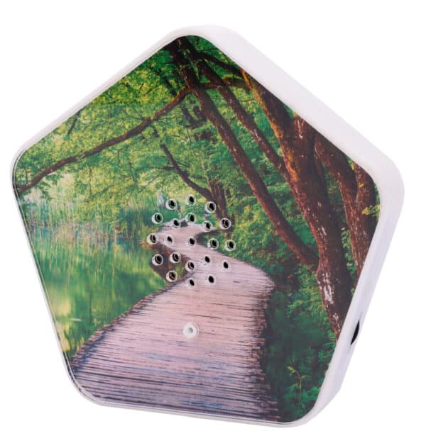 Olymp Sound-Box mit Bewegungsmelder Natur Vögel Bach Meeresrauschen – Bild 5