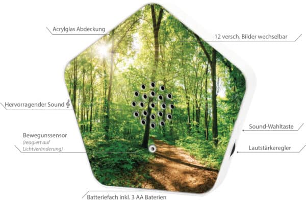 Olymp Sound-Box mit Bewegungsmelder Natur Vögel Bach Meeresrauschen – Bild 4