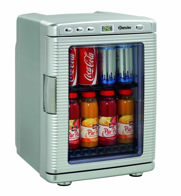 Bartscher Mini-Kühlschrank Camping Kühlbox Kfz Silber 19 Liter 12V 230V NEU