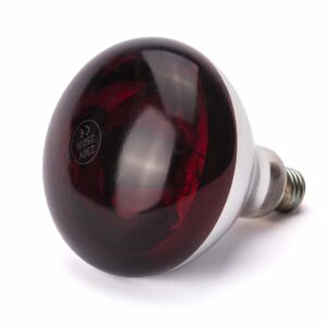 E27 Infrarot Glühbirne Wärmelampe Rotlicht Infrared 250W Rot NEU