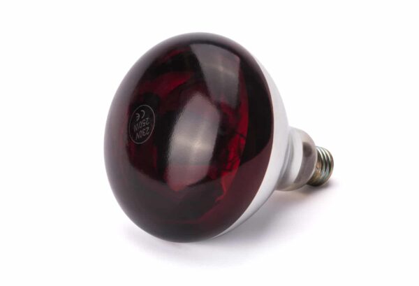 E27 Infrarot Glühbirne Wärmelampe Rotlicht Infrared 250W Rot NEU