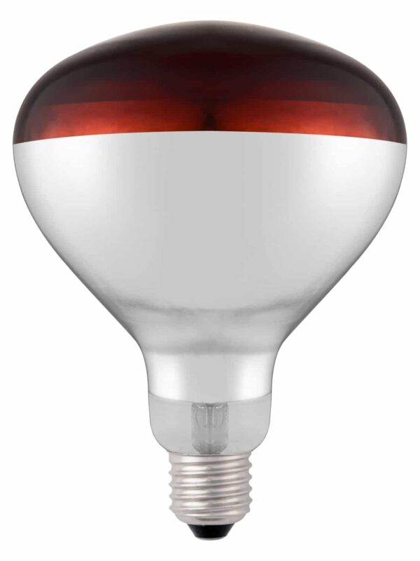 E27 Infrarot Glühbirne Wärmelampe Rotlicht Infrared 250W Rot NEU – Bild 2
