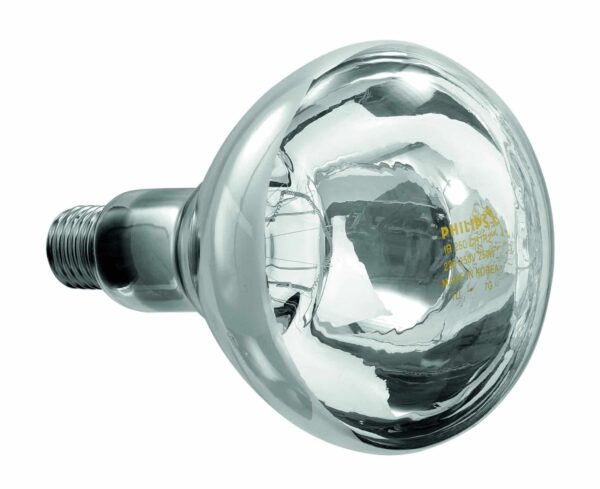 Bartscher E27 Wärmelampe Infrarotlampe IWL250D-W Glas Klar NEU
