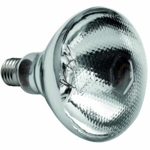 Bartscher E27 Infrarotlampe Wärmelampe Birne 250W Klar NEU