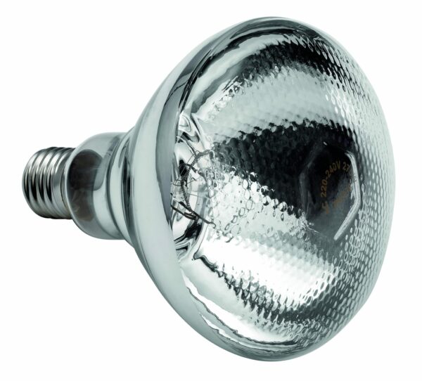 Bartscher E27 Infrarotlampe Wärmelampe Birne 250W Klar NEU