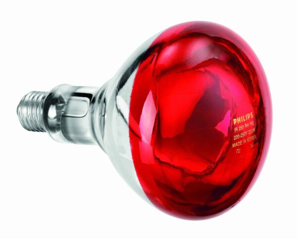 Bartscher E27 Infrarotlampe Wärmelampe Birne 250 W Rot NEU